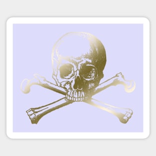 Skull and crossbones Magnet